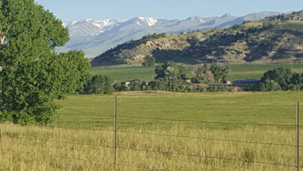 Greybull River Ranchette