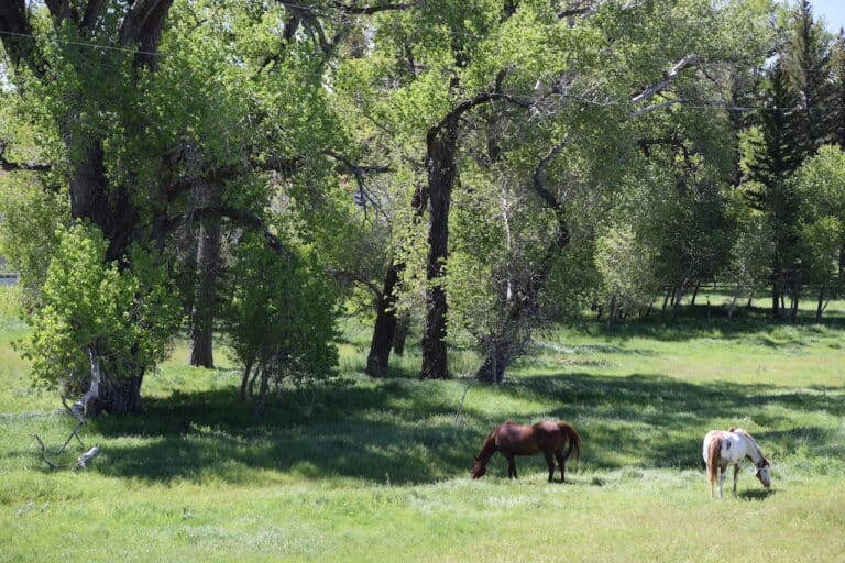 C Bar B Ranch Chase Brothers Land and Ranch