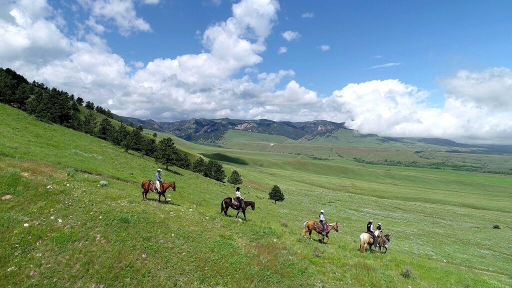 Upper French Creek Ranch for sale