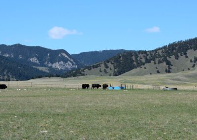 North Ridge Wyoming Ranch for Sale