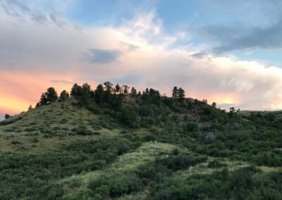 Upper Cat Creek Wyoming Land for Sale