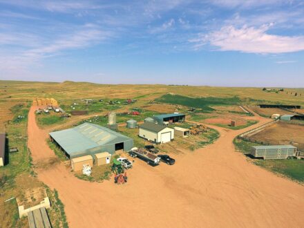 cattle ranch for sale