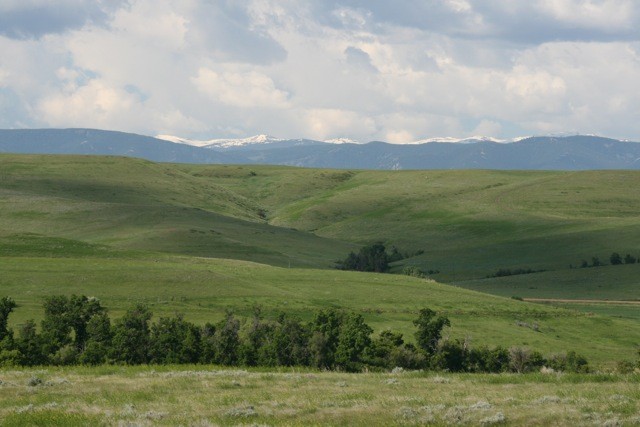 Soldier Hills Ranch