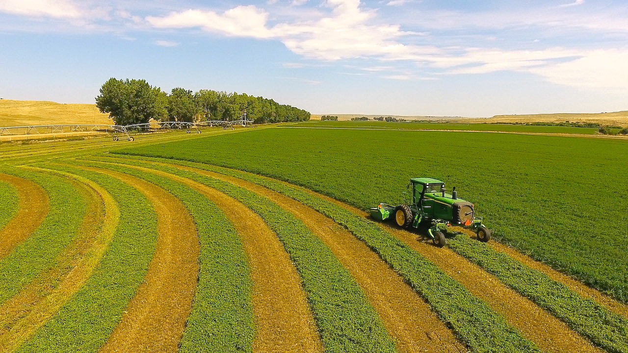 3rd alfalfa cutting on Brinkerhoff Ranch in Sheridan County, Wyoming