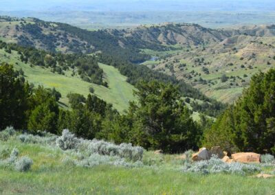 Wyoming Ranch for Sale