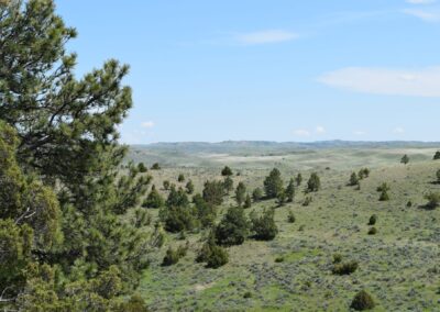 Big Horn County Rancholme Ranch near Decker Montana for sale by Chase Brothers Land and Ranch Brokerage