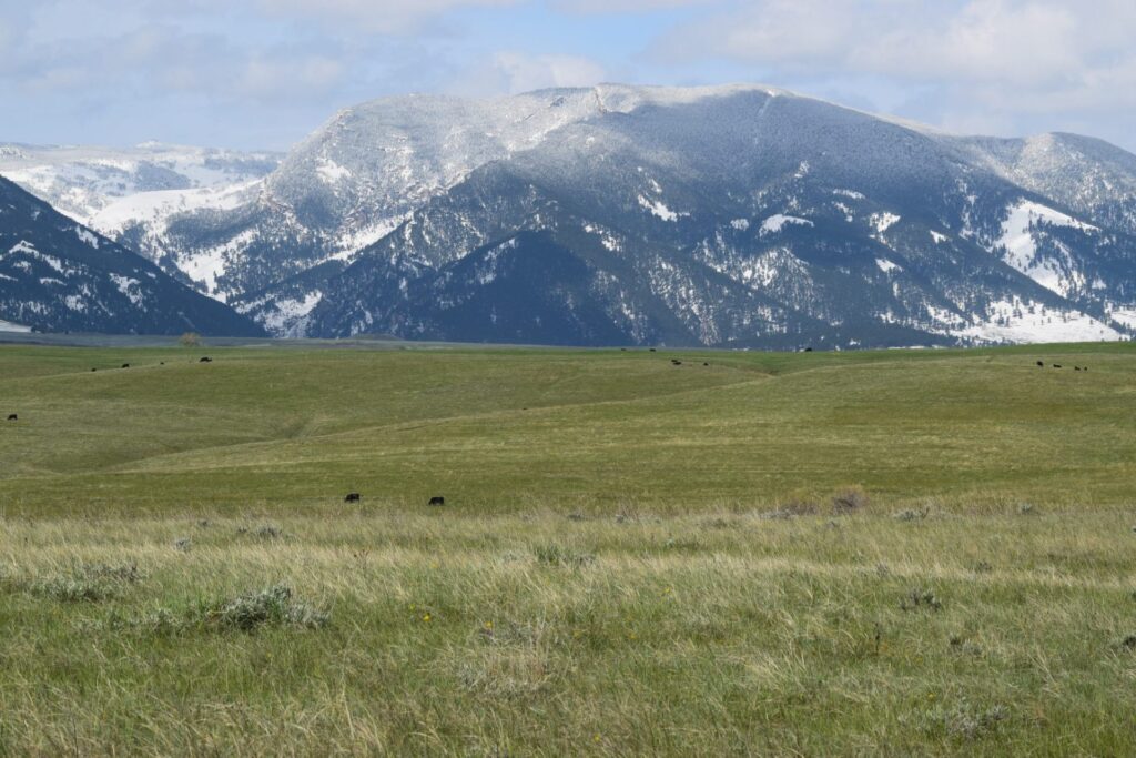 Tate Land Wyoming Mountain View Land for Sale
