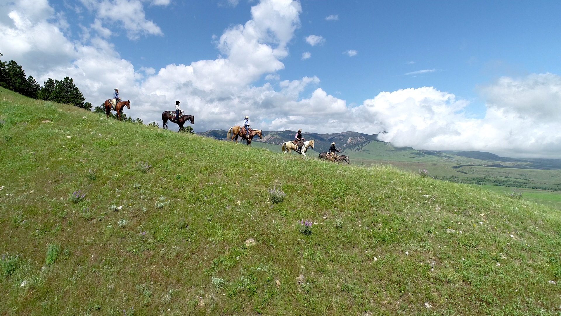 wyoming montana ranches