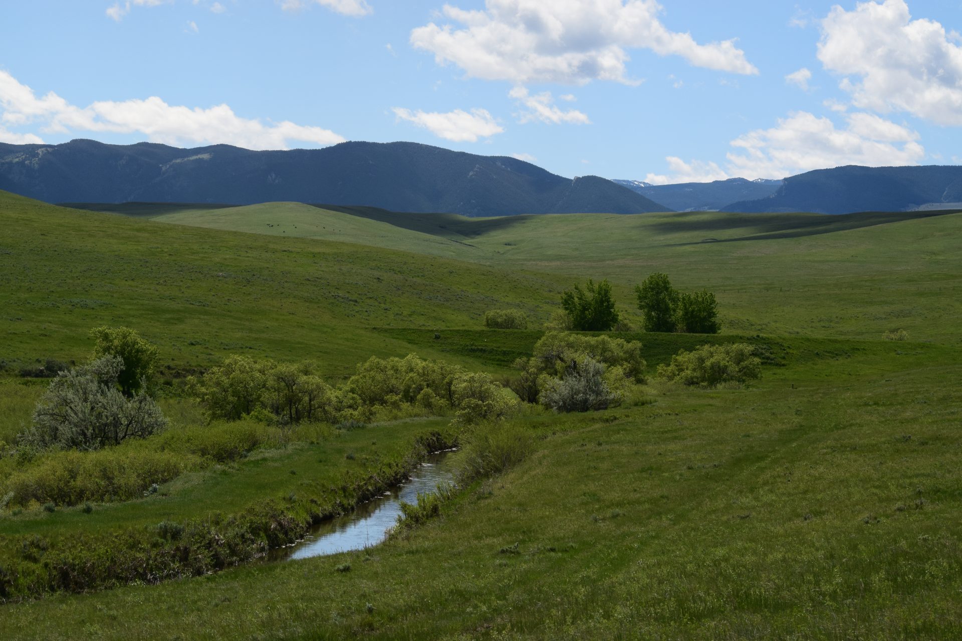 Bighorn Mountains Foothill Land for Sale