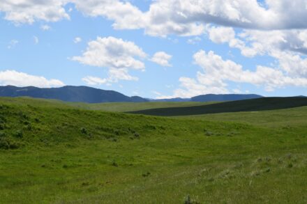 Bighorn Mtns Foothill Land