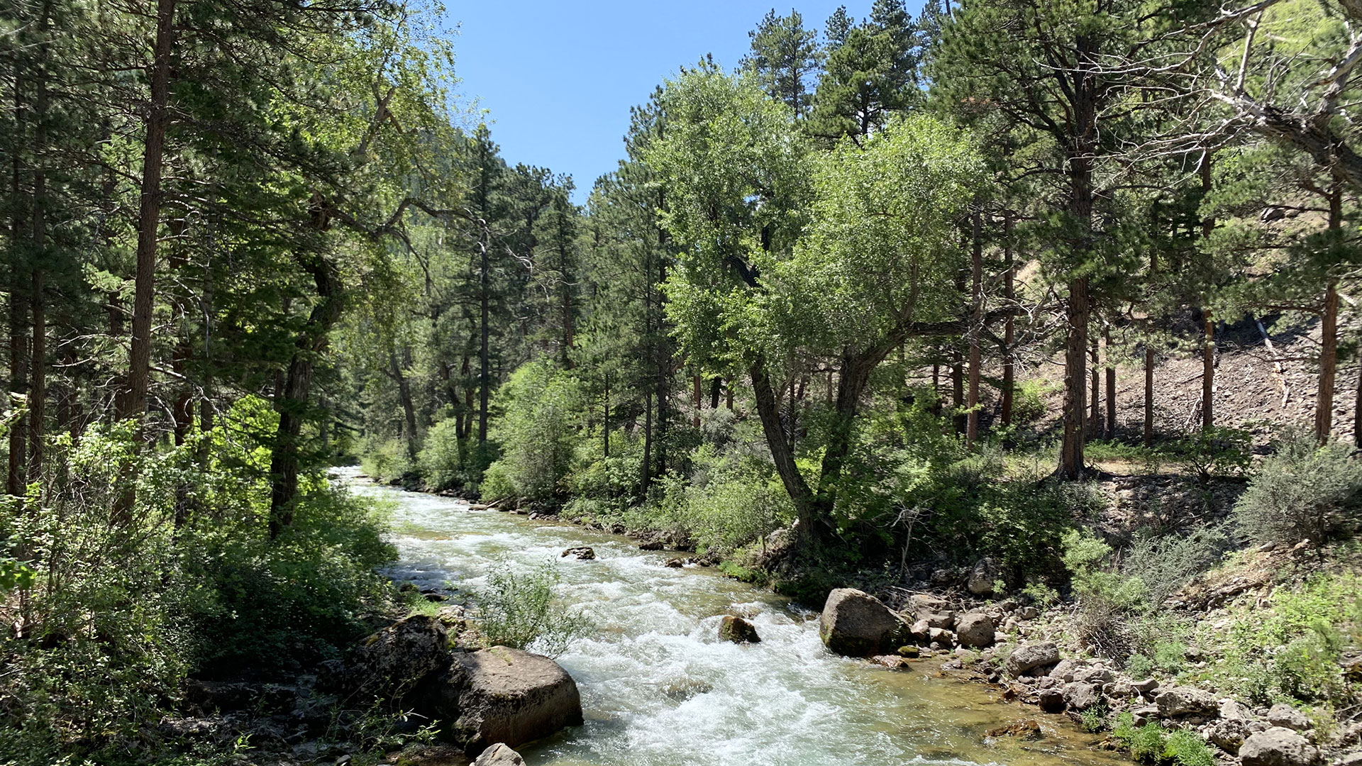 Little Bighorn Canyon Lots Chase Brothers Land & Ranch