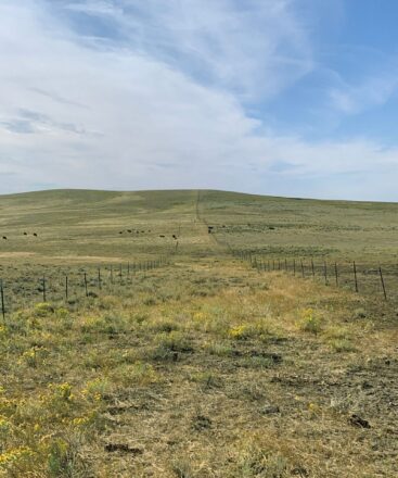 Wyoming Montana Ranches for Sale