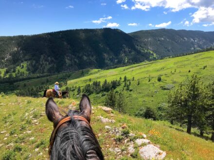 Riding Pass Creek Ranch Wyoming Bighorn Mountain Foothills