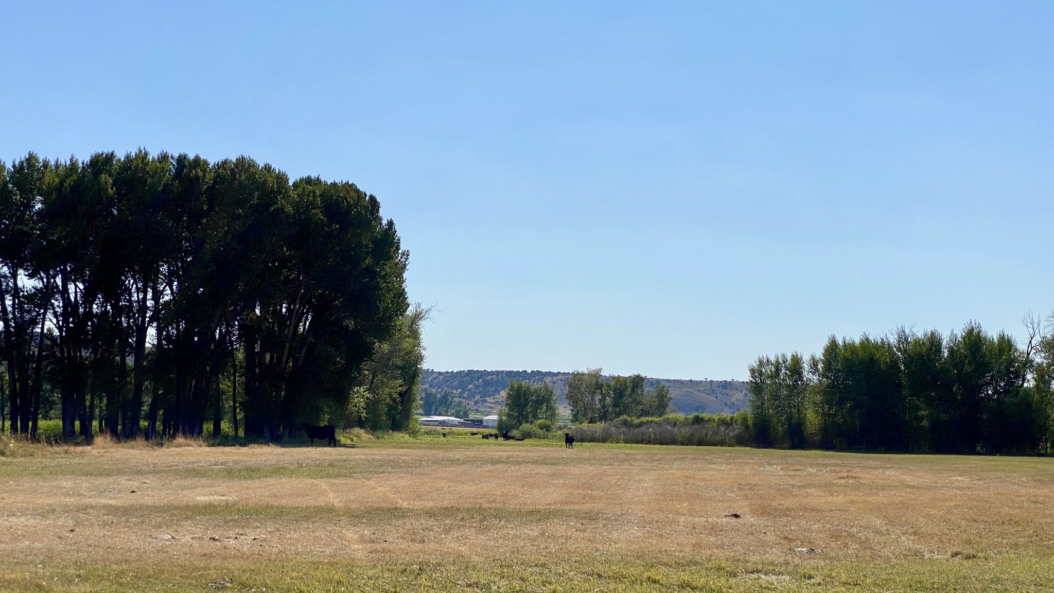 Riverfront Pasture Land Little Snake River Ranchette