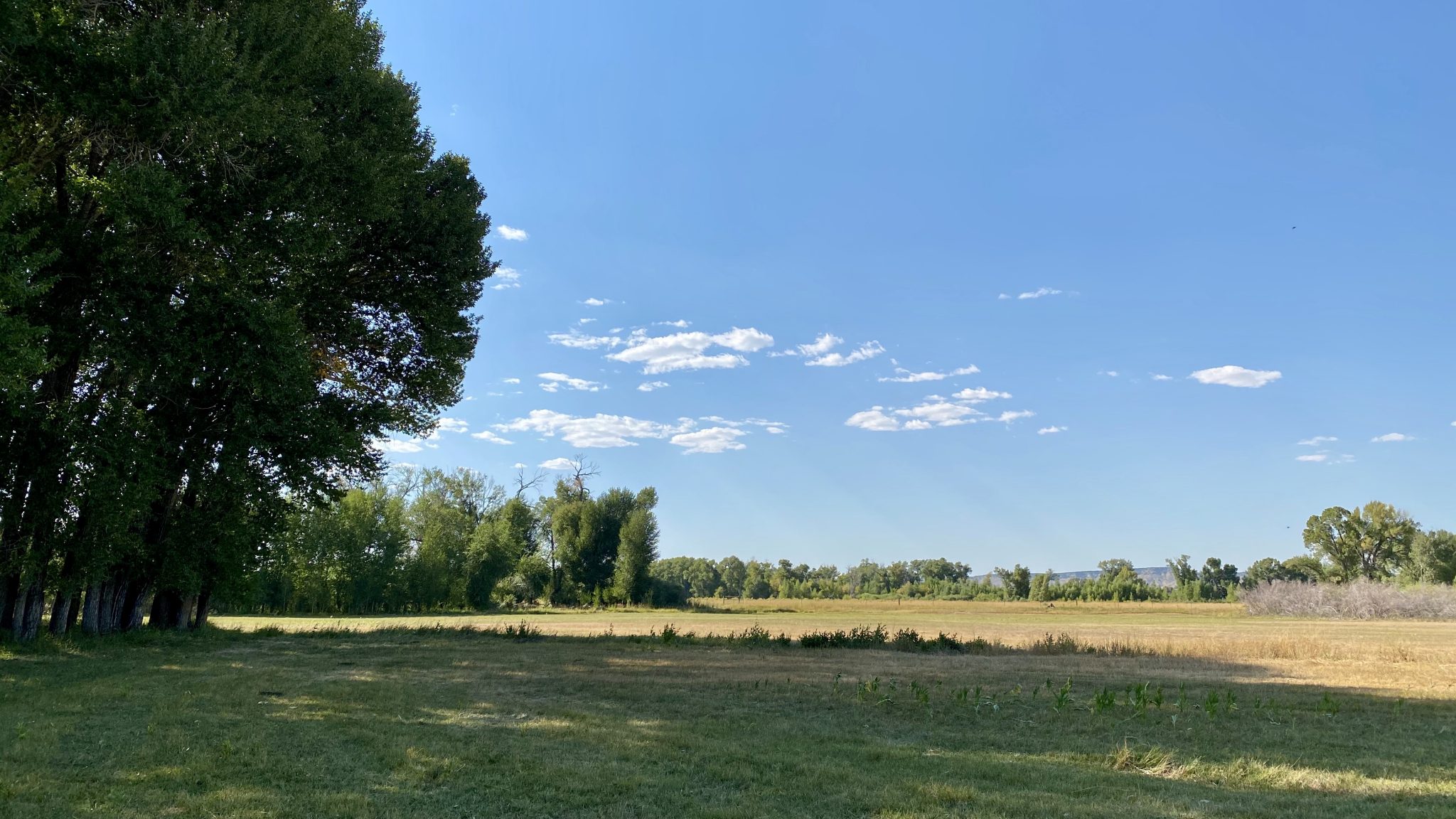 Riverfront Pasture Land Little Snake River Ranchette