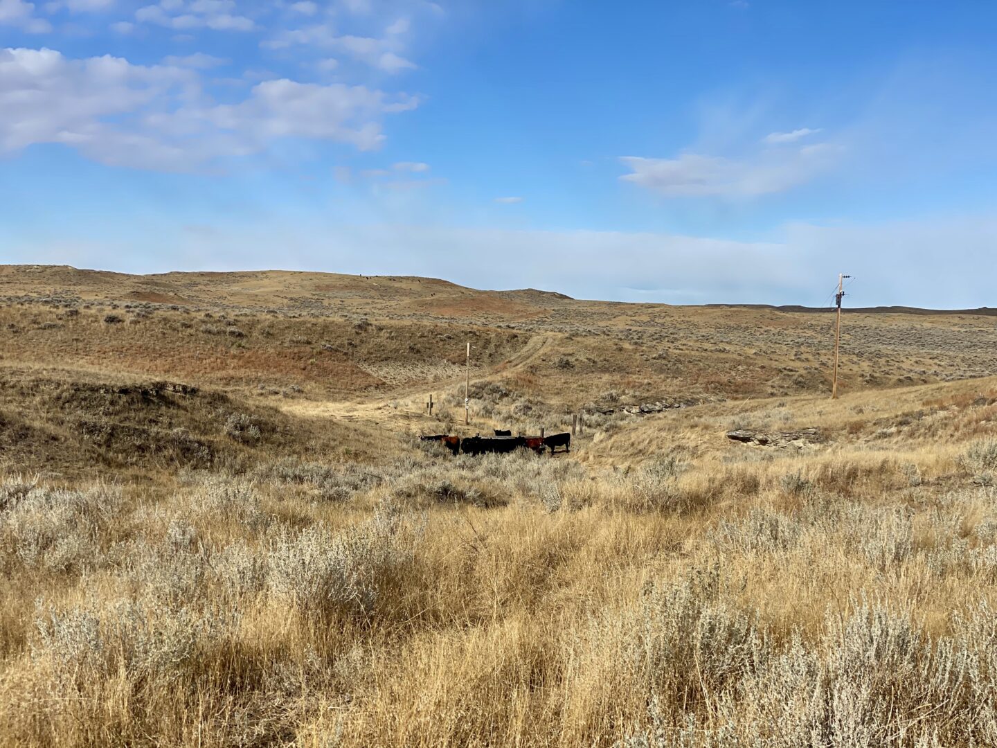 Antelope Creek Ranch - Chase Brothers Land and Ranch