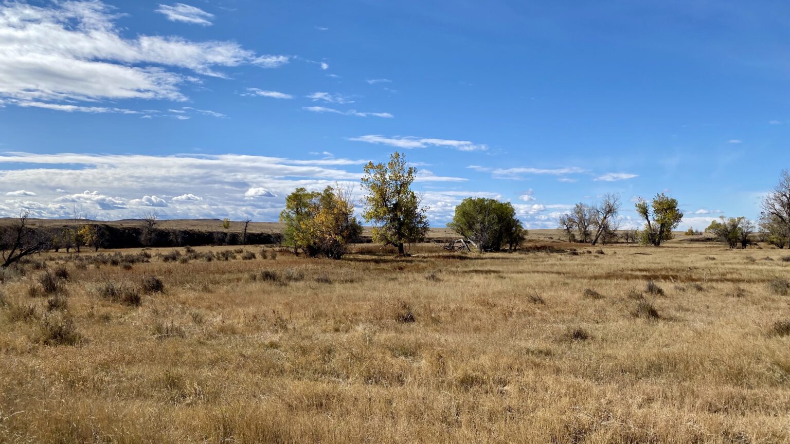 Antelope Creek Ranch - Chase Brothers Land and Ranch