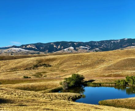 Mountain foothill land with views of the Bighorn Mountains, pond wildlife and prime exposure to the Bighorn National Forest