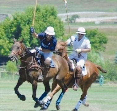 Polo in the Bighorn Mountain Foothills