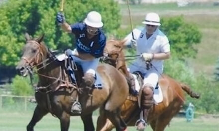 Polo in the Bighorn Mountain Foothills