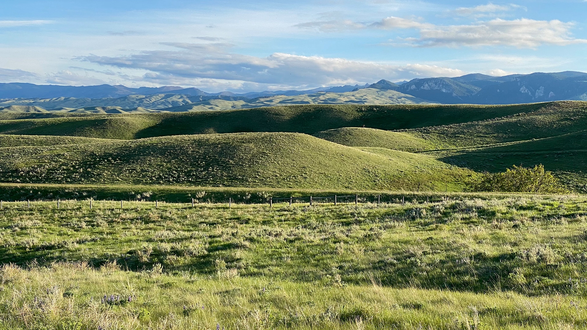 Mountain foothill land with views of the Bighorn Mountains and prime exposure to the Bighorn National Forest