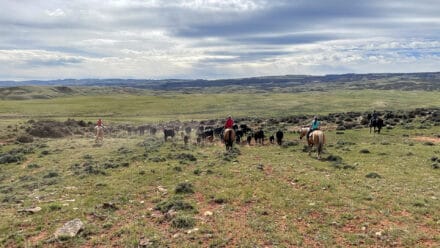 Wyoming and Montana ranching properties and ranch land for sale