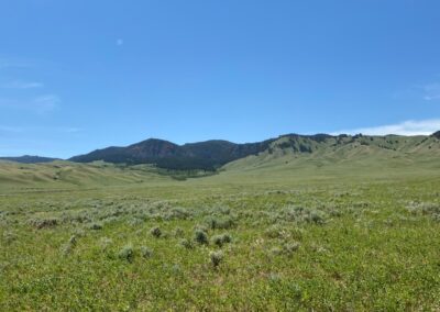 N. Fork Shell Creek Ranch view of Bighorn foothills
