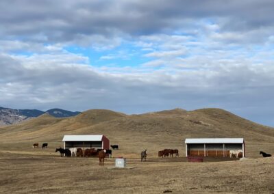 Triangle S Ranch horse shelters