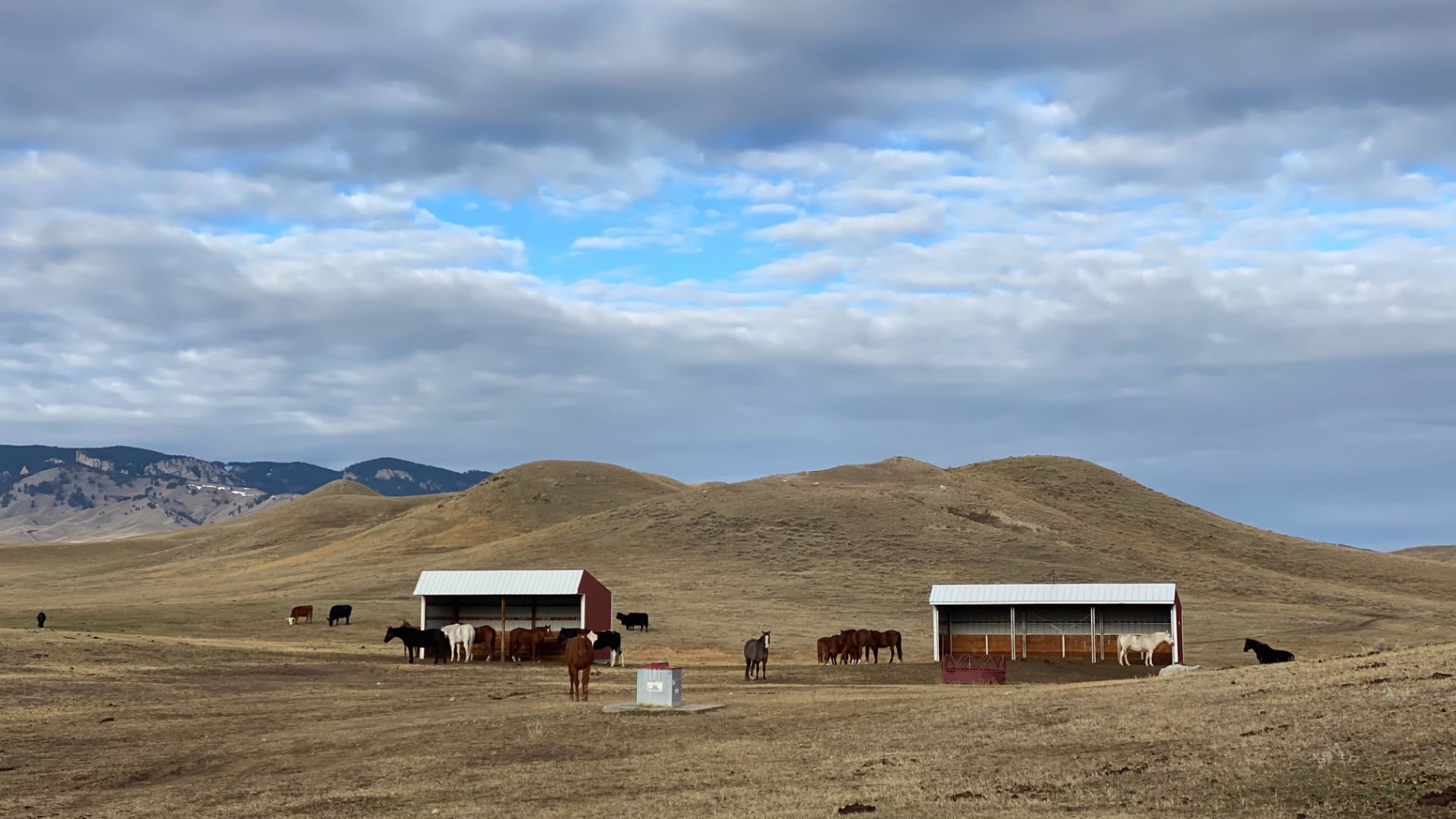 Triangle S Ranch horse shelters