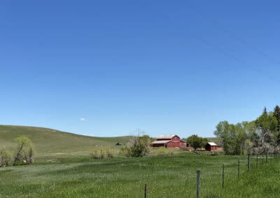 Triangle S Ranch pasture and barn view