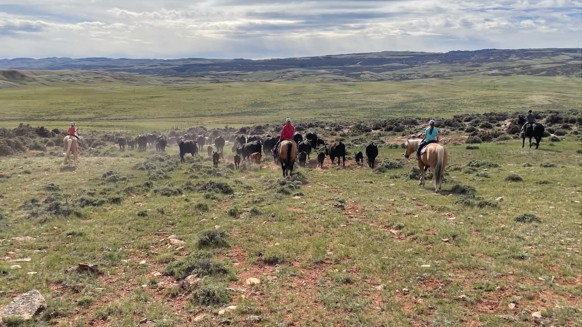 Ranch Management