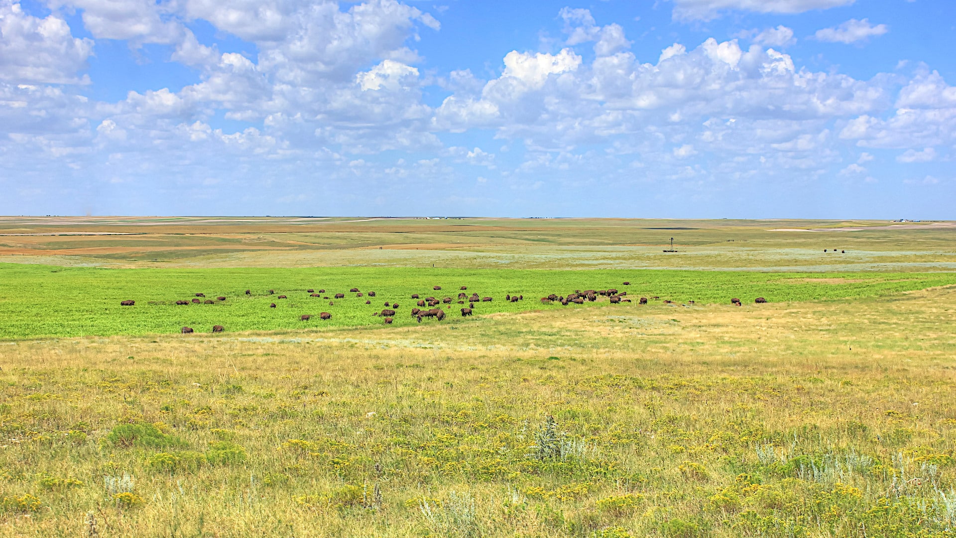 Nebraska Ranch & Farm Land