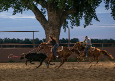Cottonwood Equine and Equestrian Events Center outdoor arena team roping magnanimous197