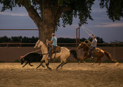 Cottonwood Equine and Equestrian Events Center outdoor arena team roping magnanimous208