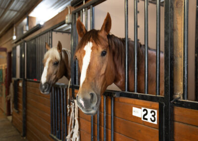 Cottonwood Equine and Equestrian Events Center equine rehab and hay barn magnanimous17