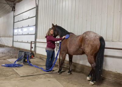 Cottonwood Equine and Equestrian Events Center therapy barn heather daly4o8a3686