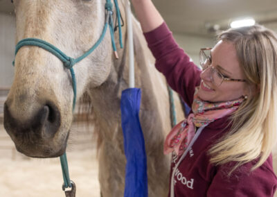 Cottonwood Equine and Equestrian Events Center therapy barn heather daly4o8a3924