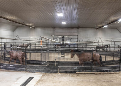 Cottonwood Equine and Equestrian Events Center therapy barn heather daly
