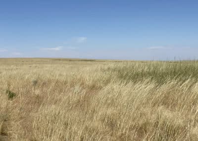 bb brooks ranch range land 2
