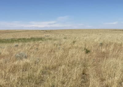 bb brooks ranch range land