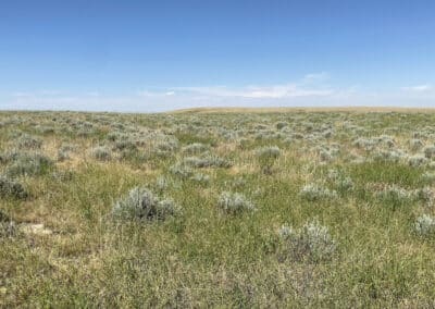 bb brooks ranch range land 5