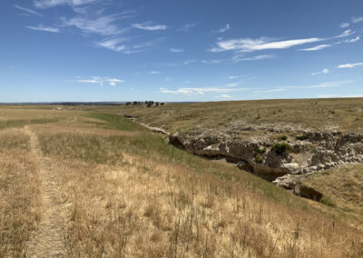 Divide Ranch limestone outcrops
