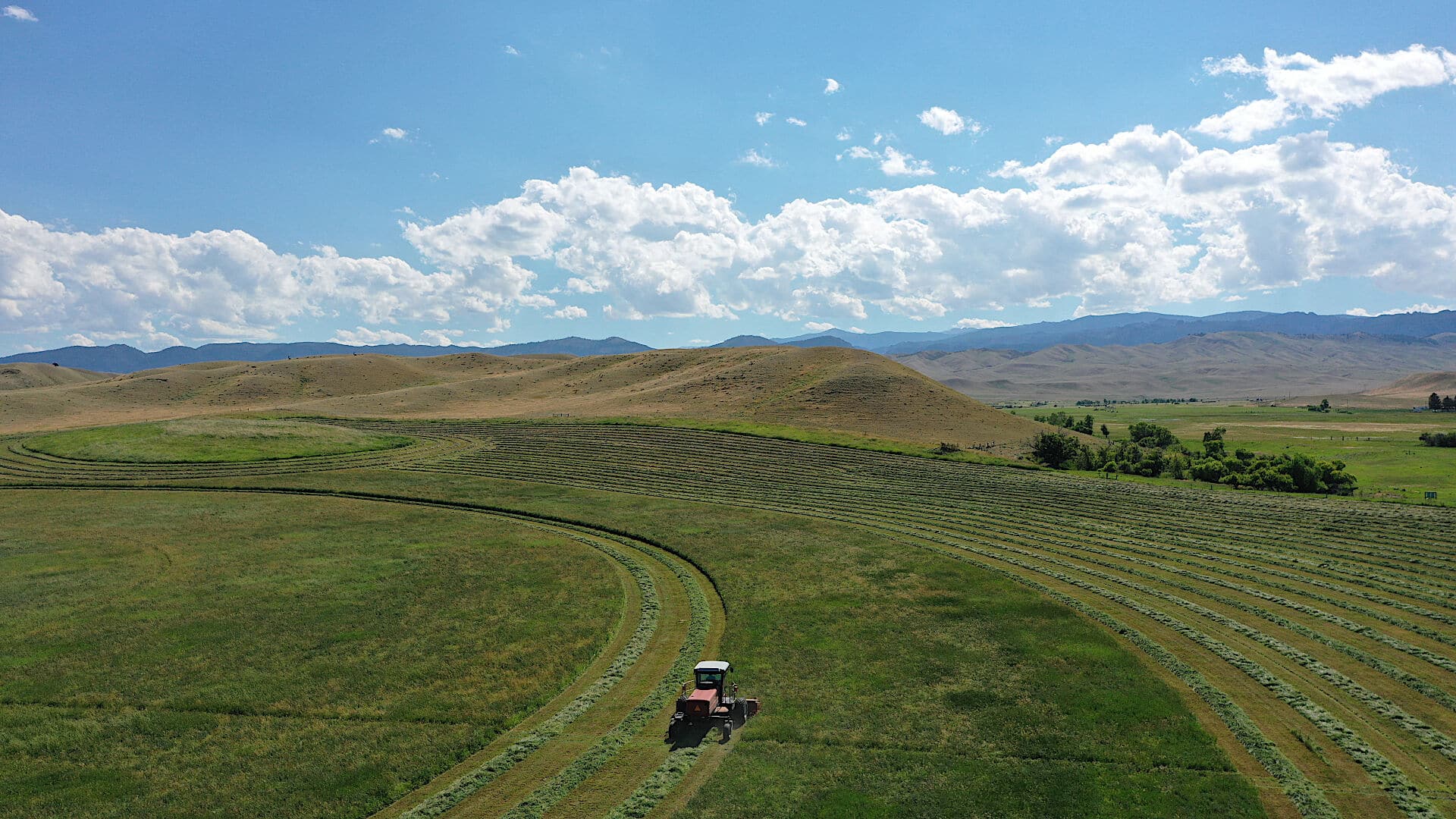 Triangle S Ranch swathing hay meadow in bighorn mountain foothills