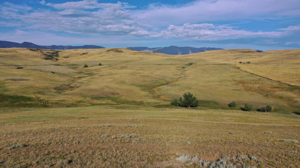 Wyoming Foothill Ranch Land for Sale Chase Brothers, LLC