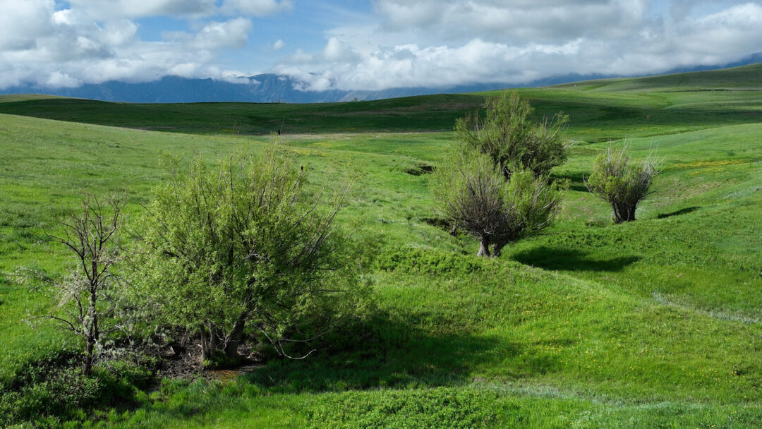 Wyoming Foothill Ranch Land for Sale Chase Brothers, LLC