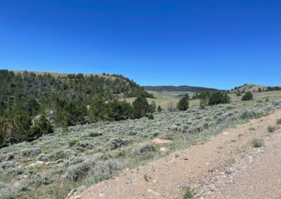 First Water Creek Bighorn Mountains hunting and recreation land
