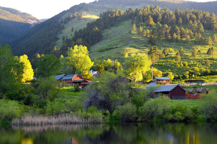 Incredible Northern Wyoming ranch for sale in the foothills of the Bighorn Mountains, over-looking a large trout pond, showing red barns and densly forested hillsides in the background.