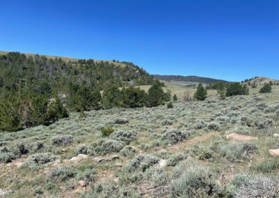 First Water Creek Bighorn Mountains hunting and recreation land