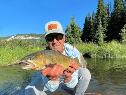 Wyoming river brown trout