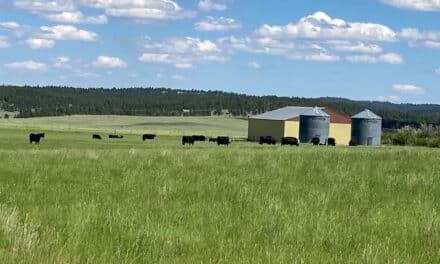 Hoyt Ranch Home Parcel